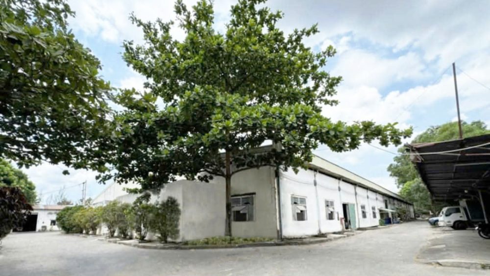 Cần Chuyển Nhượng Nhà Xưởng Tại Long Thành - Đồng Nai